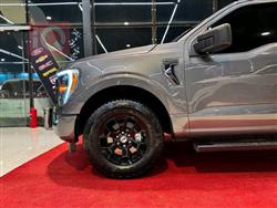 فۆرد F-150